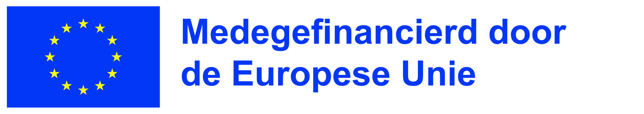 nl medegefinancierd door de europese unie pos